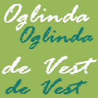 oglindadevest