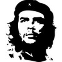 kurtvrose