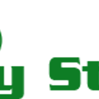 PayStub