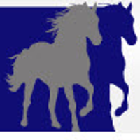 onlineequineau