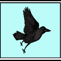 ravenwriting