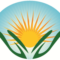 veominfotech