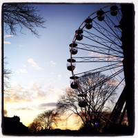 EdinBlogger