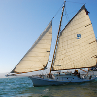 2classic_sail