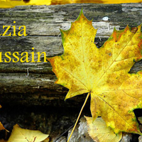 Mrs.Hussain