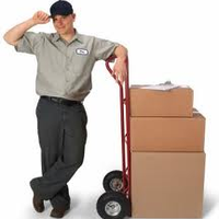 Beehive_Movers