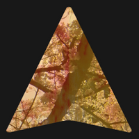 zimpledigital