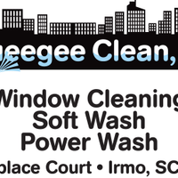 suqeegeeclean1