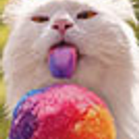 nyancode
