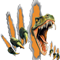 Raptor-Marketing