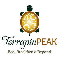 terrapin