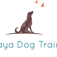 anvaya