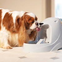 PetSafeINTL