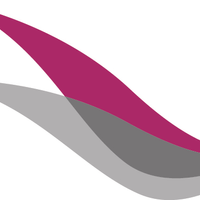 paragonnetwork