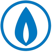 repuestosgalgas