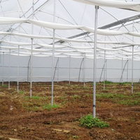 omgreenhouse2