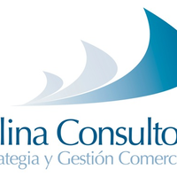 molinaconsultores