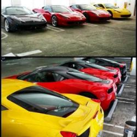 Exotic_Rentals