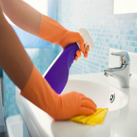 brisbanecleaner