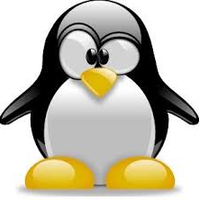 pinguino