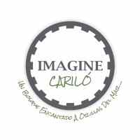 imaginecarilo