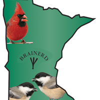 MN-Backyard-Birds