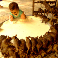 shaktibareth