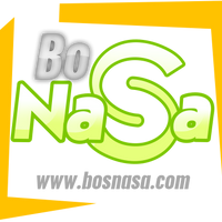 bosnasa