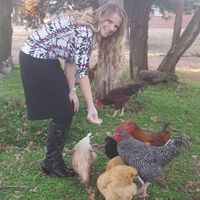chickenscratchdiy